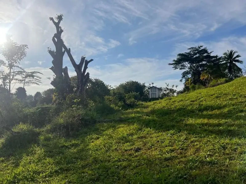 Montezuma Scenic Lots photo 13